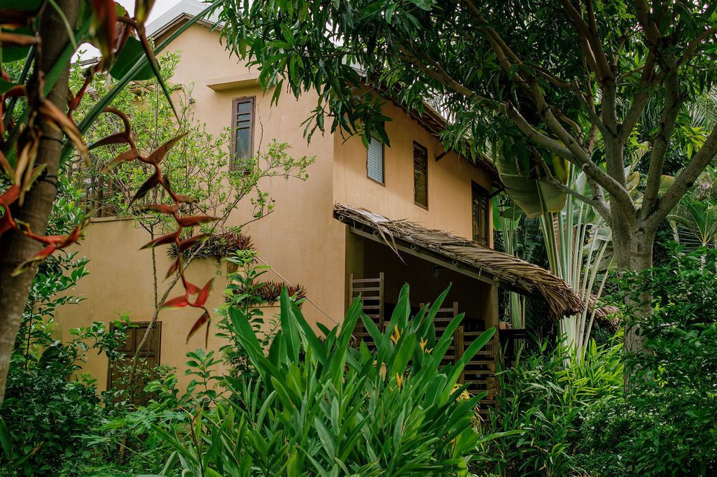 A traditional house with a thatched roof, surrounded by lush greenery and various plants.
