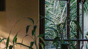 A window with a view of green foliage outside. - An Villa Hoi An (Da Nang)