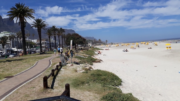 Une plage bordée de palmiers, avec un sentier et des parasols de plage.