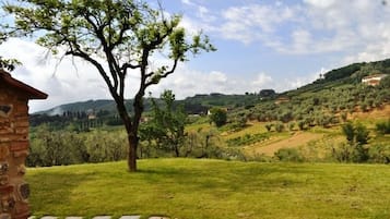 Vista da propriedade