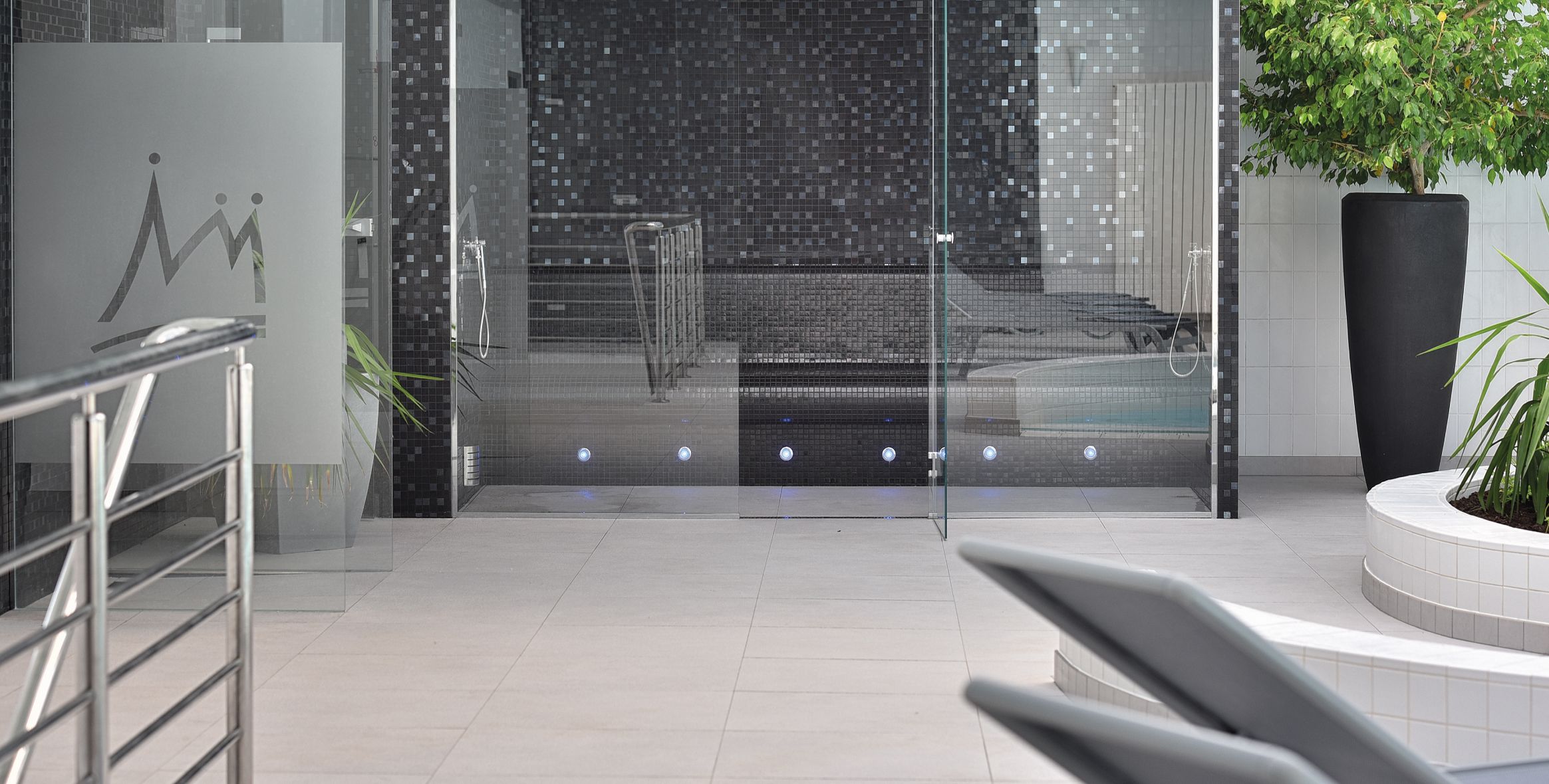 Une salle de bain moderne avec une porte en verre, des murs carrelés et une grande plante en pot.