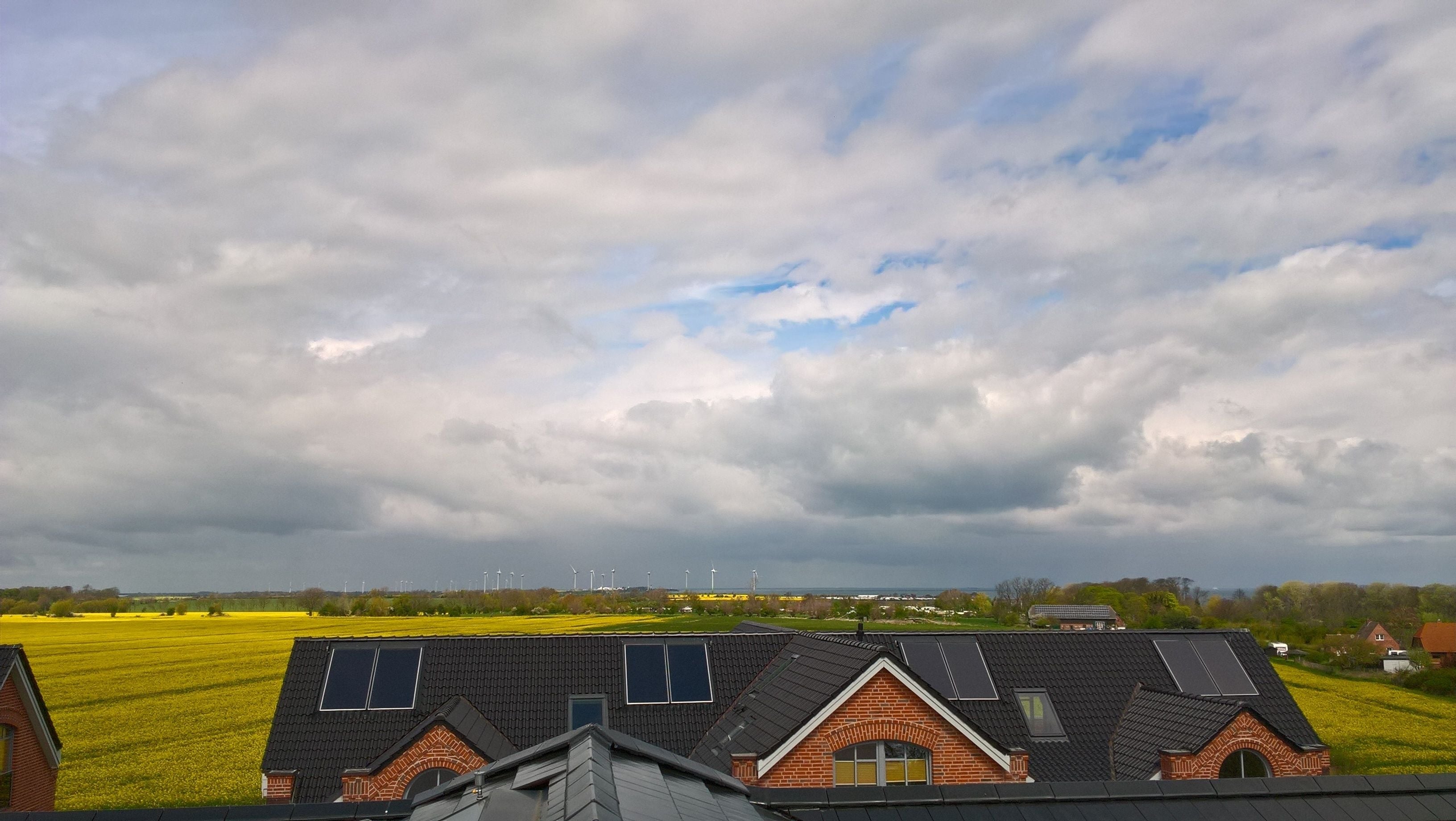 A rural landscape with a field of yellow flowers, a cloudy sky, and wind turbines in the distance.