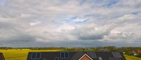 A rural landscape with a field of yellow flowers, a cloudy sky, and wind turbines in the distance.
