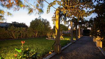 Un chemin de jardin agrémenté d’une pergola, entouré d’une pelouse et d’arbres bien entretenus.