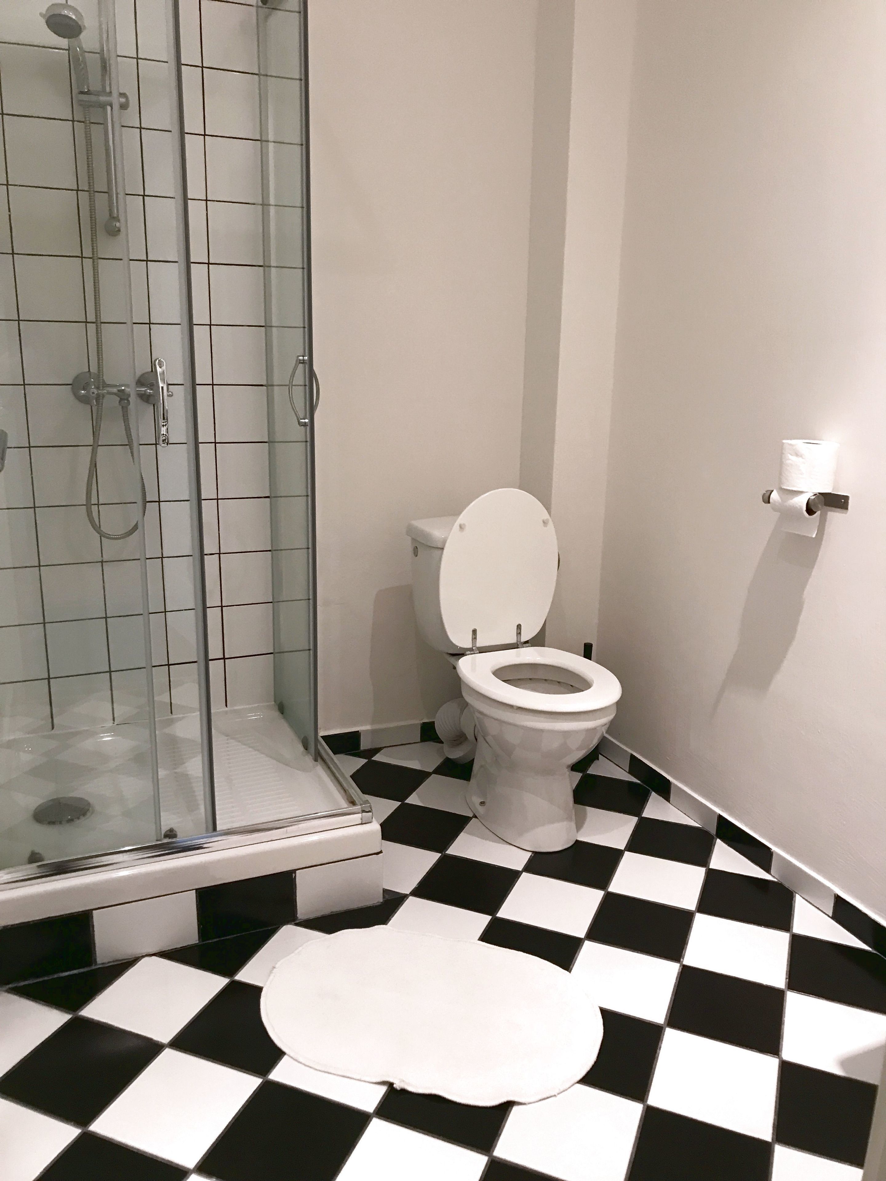 standard double or twin room (room 2) | bathroom | shower, towels