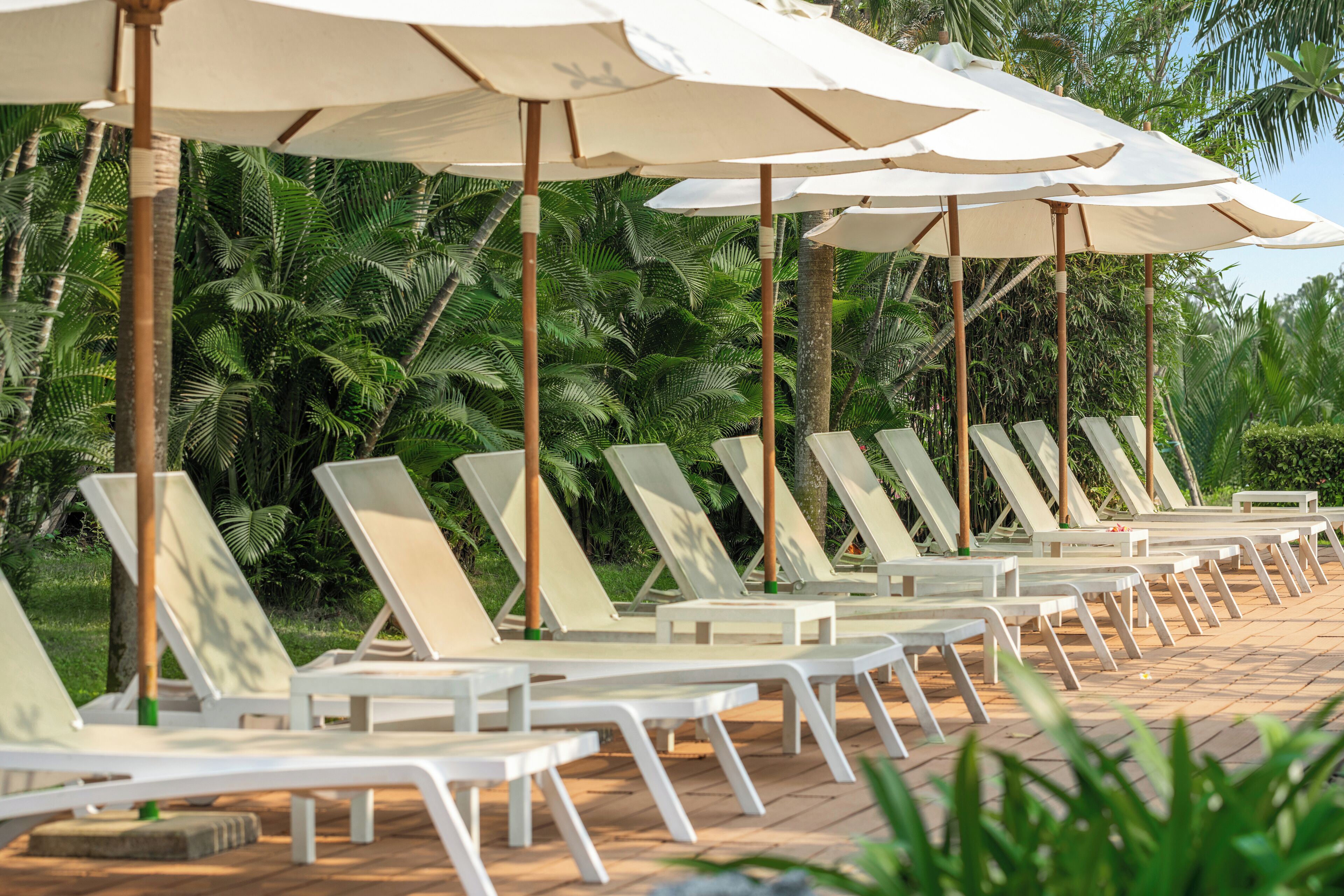 H  ồ bơi ngoài trời, dù/ô trên bãi biển/hồ bơi, ghế dài tắm nắng 