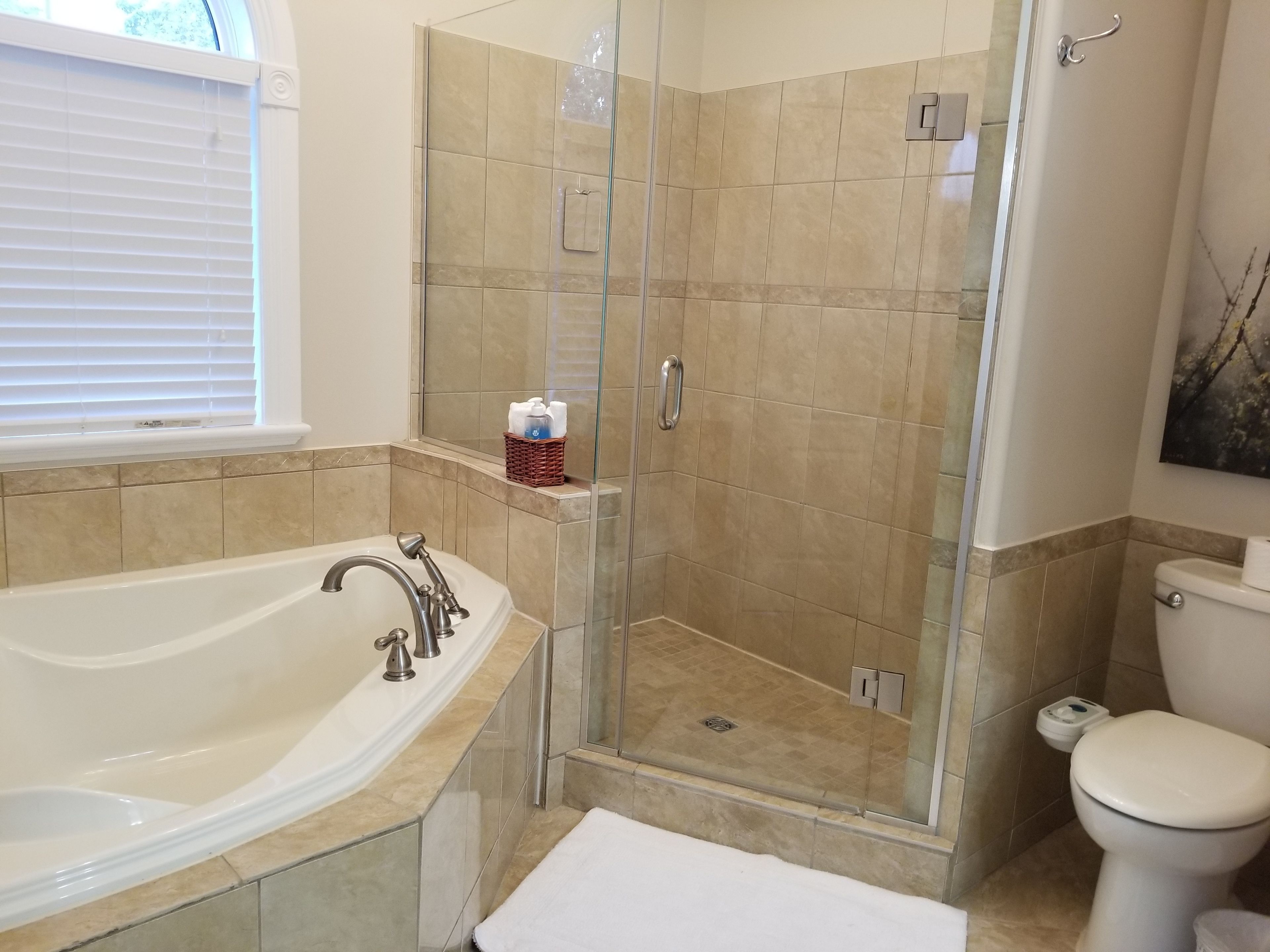 A bathroom with a bathtub, a glass-enclosed shower, and a toilet.