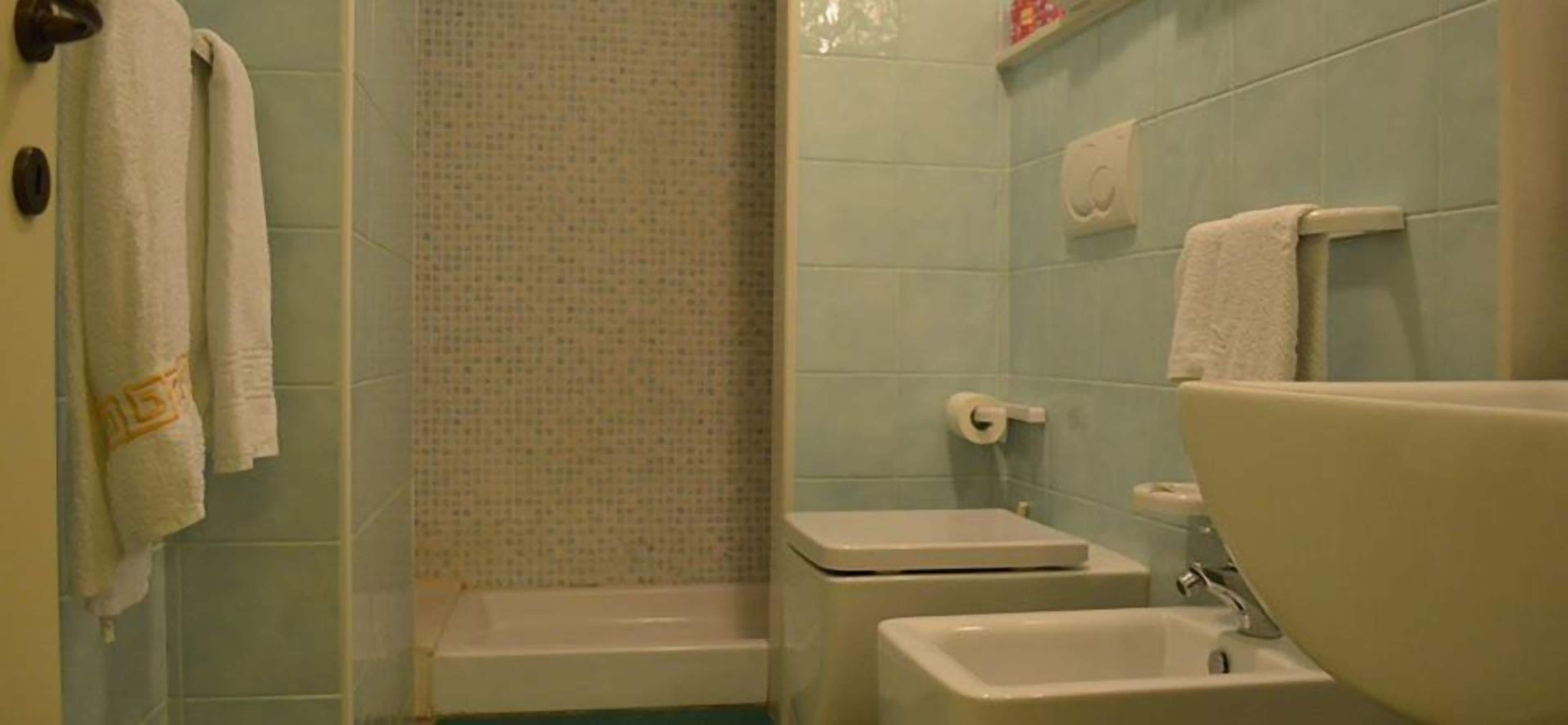 shower, rainfall showerhead, free toiletries, hair dryer