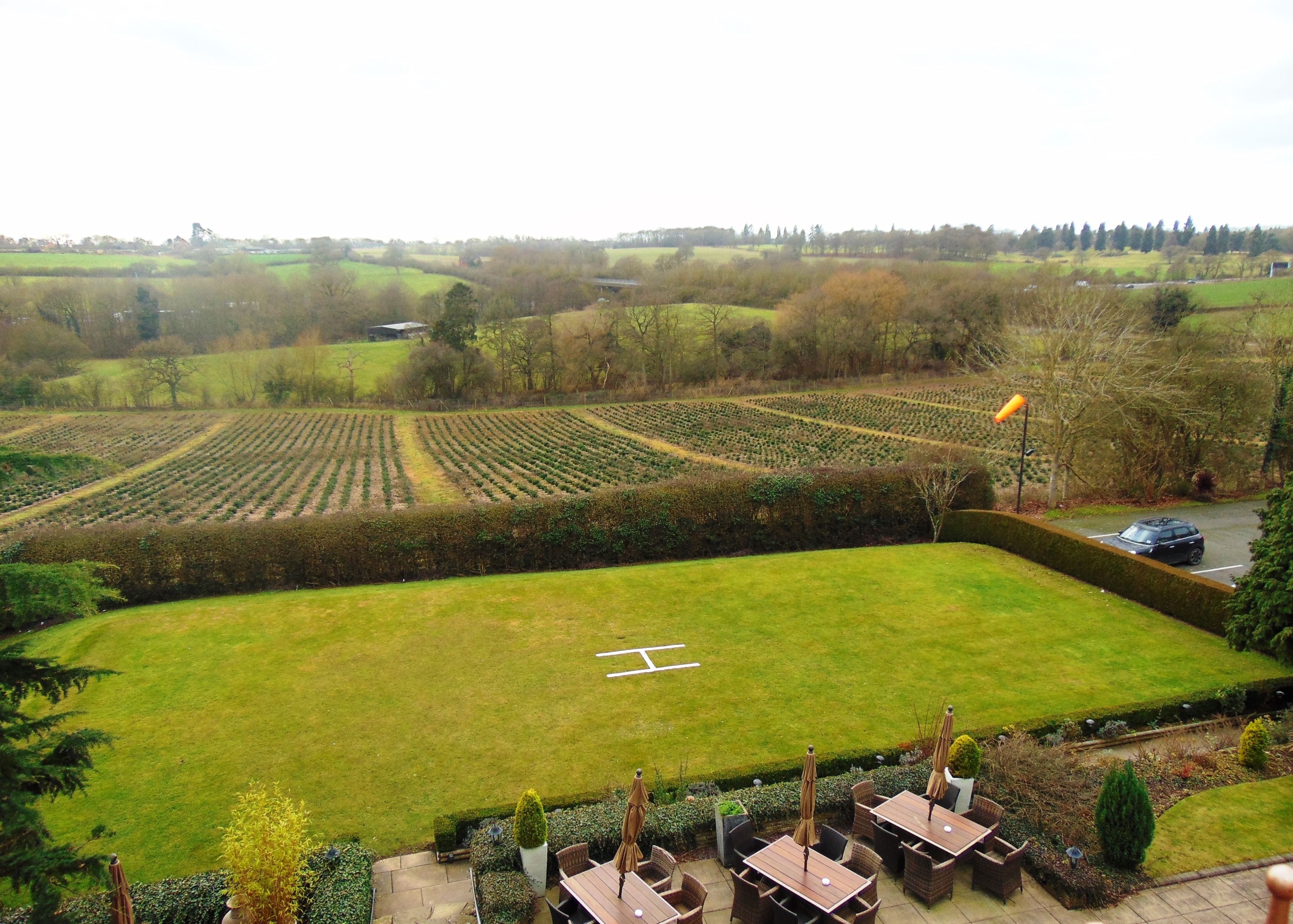 A large, open grassy area with neatly arranged rows of crops, surrounded by hedgerows and trees. There are outdoor seating areas with tables and chairs.