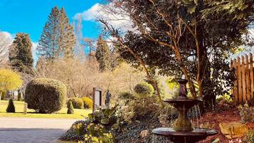 A garden with a fountain, a statue, and a variety of plants including daffodils.