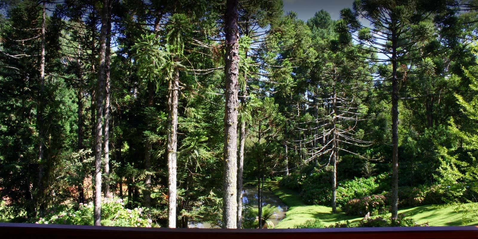 Xalet | Vista des de l'habitació