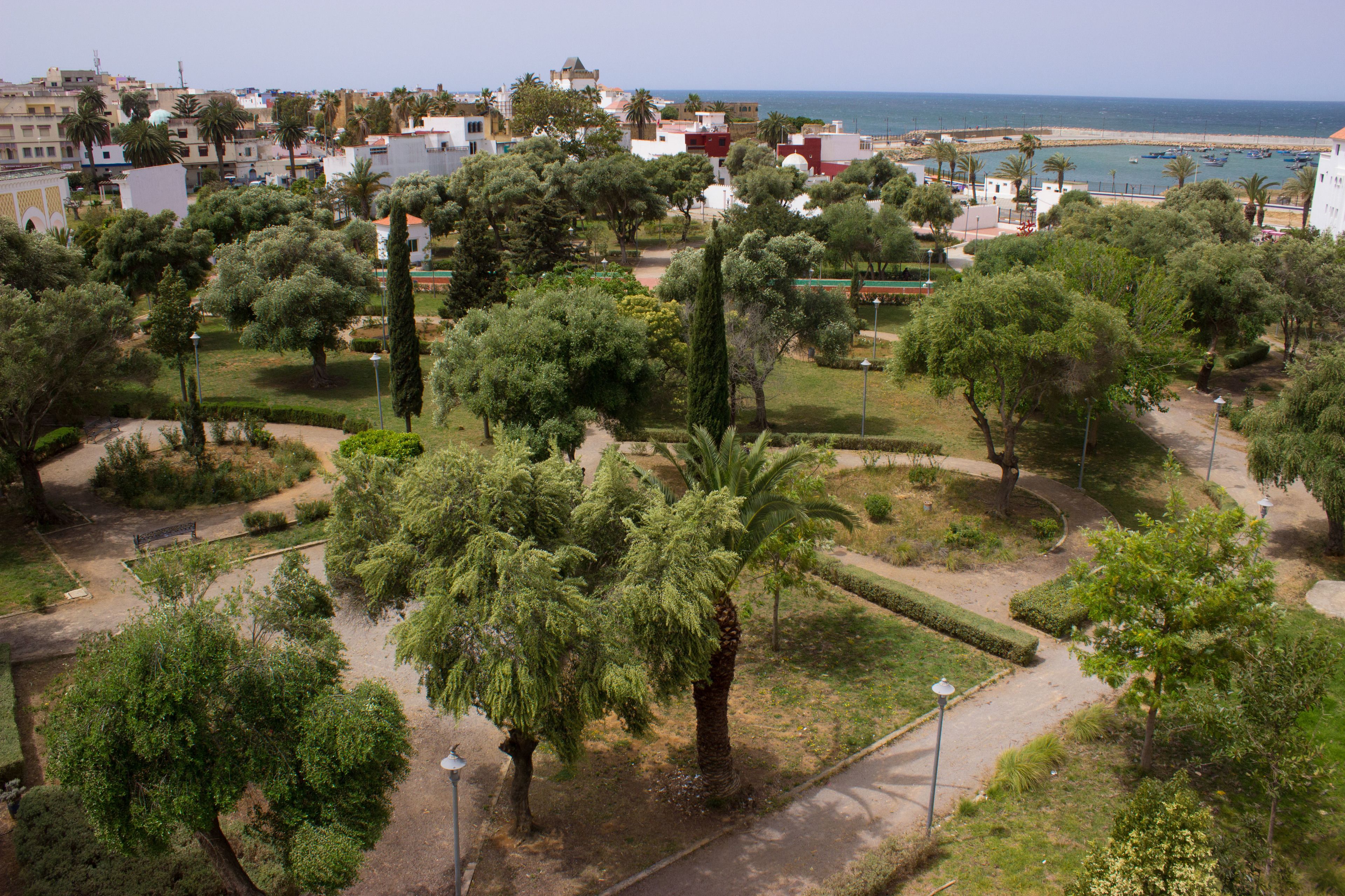Garden