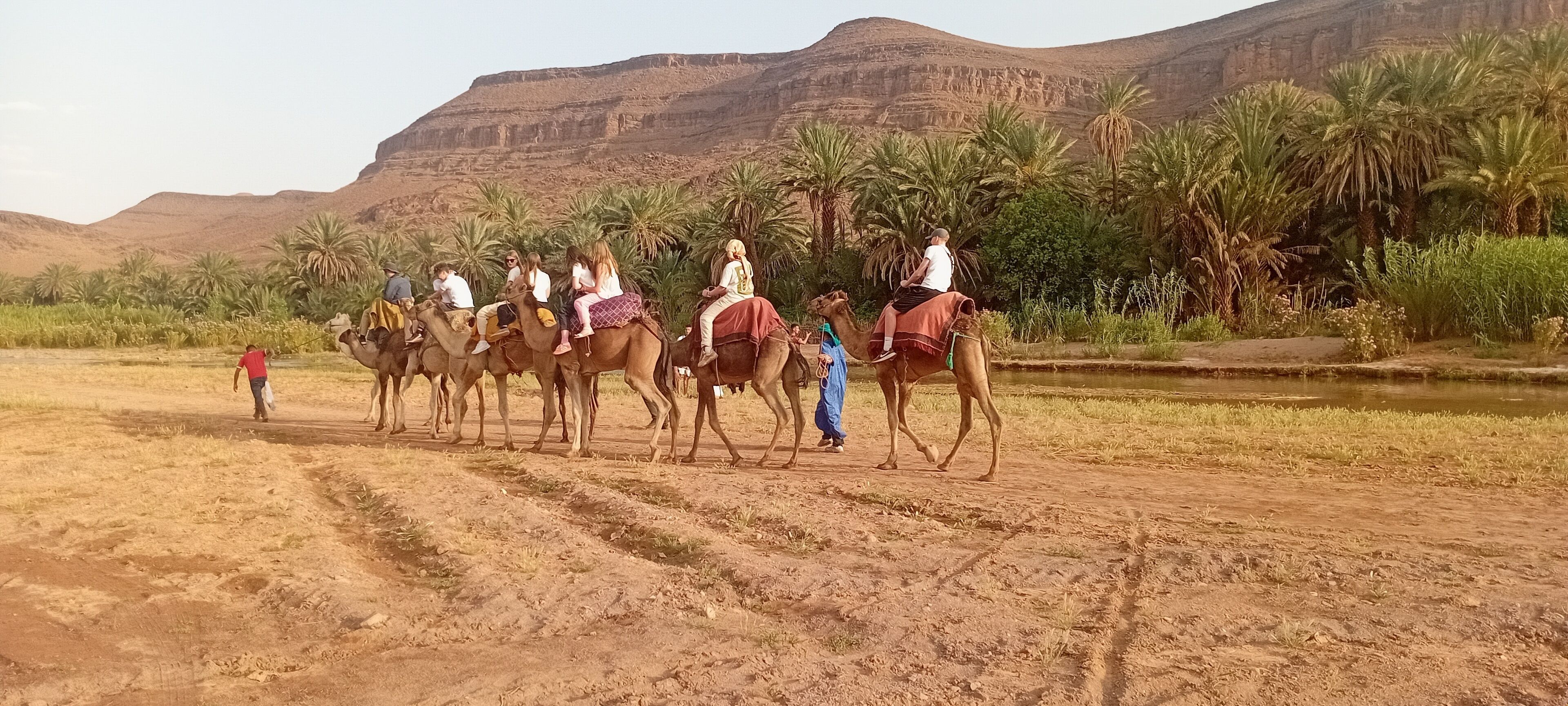 Eine Gruppe von Menschen reitet auf Kamelen auf einem unbefestigten Pfad, im Hintergrund Palmen und ein Berg.
