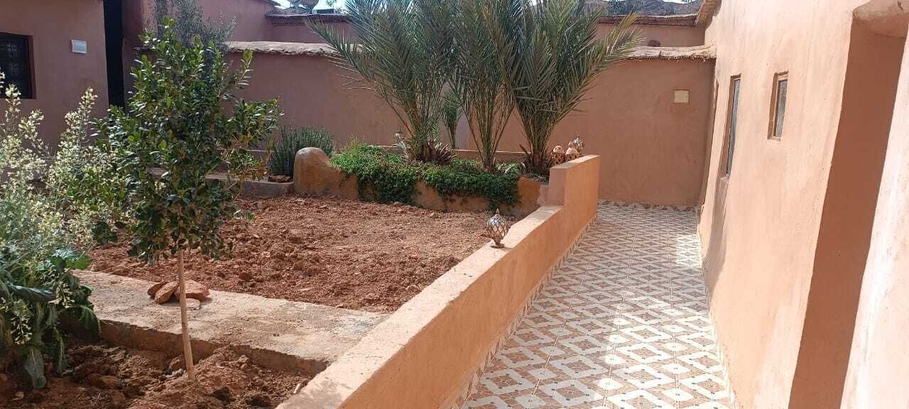 Un cortile con pavimento piastrellato, aiuole rialzate e diverse piante.