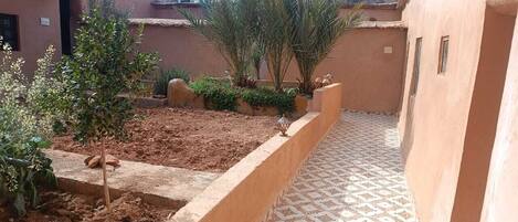 Un cortile con pavimento piastrellato, aiuole rialzate e diverse piante.