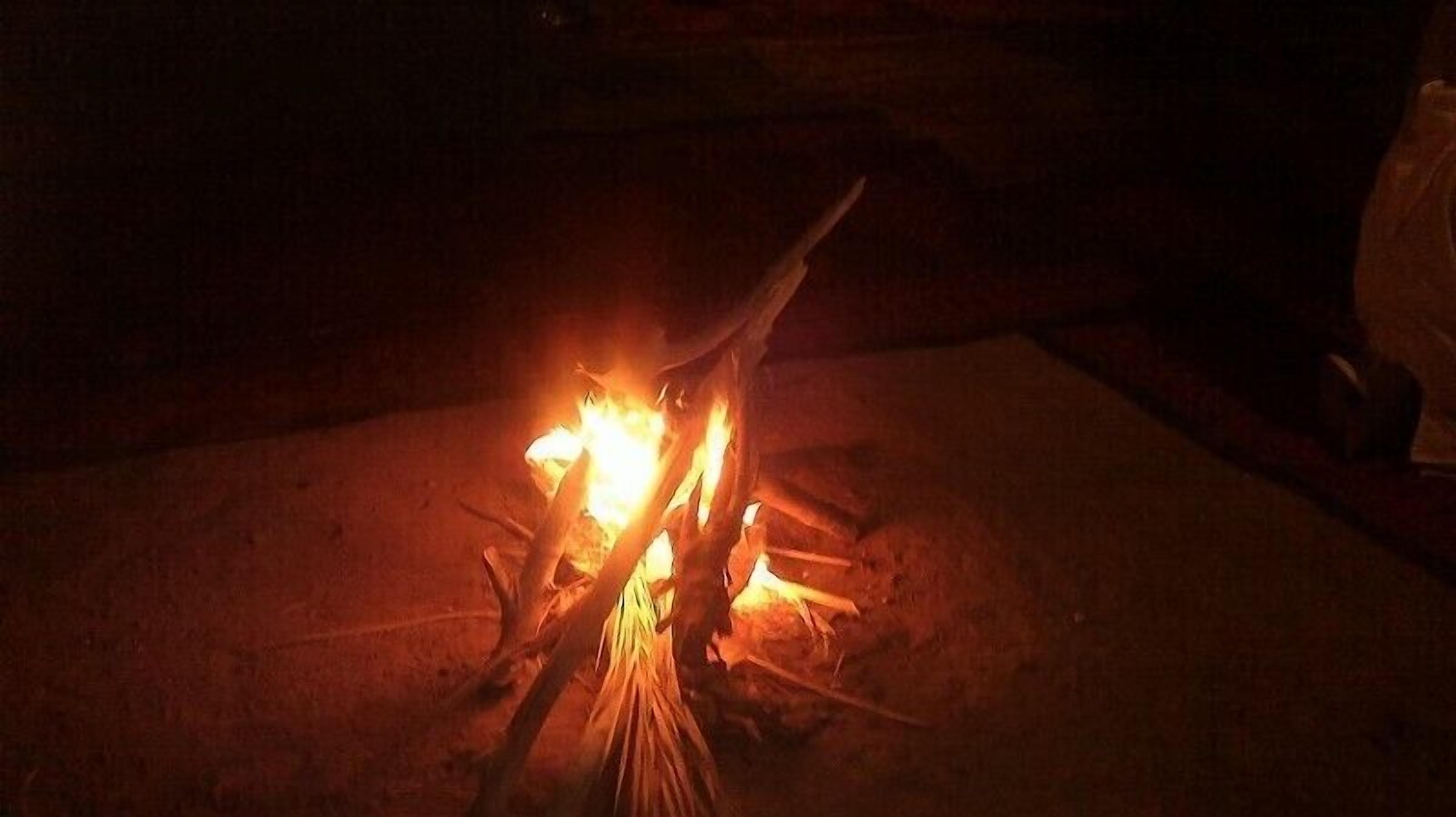 Un feu de camp avec des bûches et des flammes.