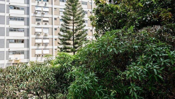 Traditioneel appartement | Kameruitzicht
