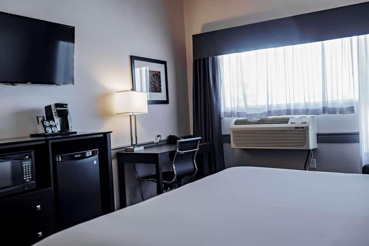 Camera, 1 letto king, non fumatori | Biancheria da letto di alta qualità, una scrivania, postazione laptop