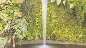 花园