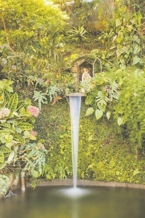 Jardim