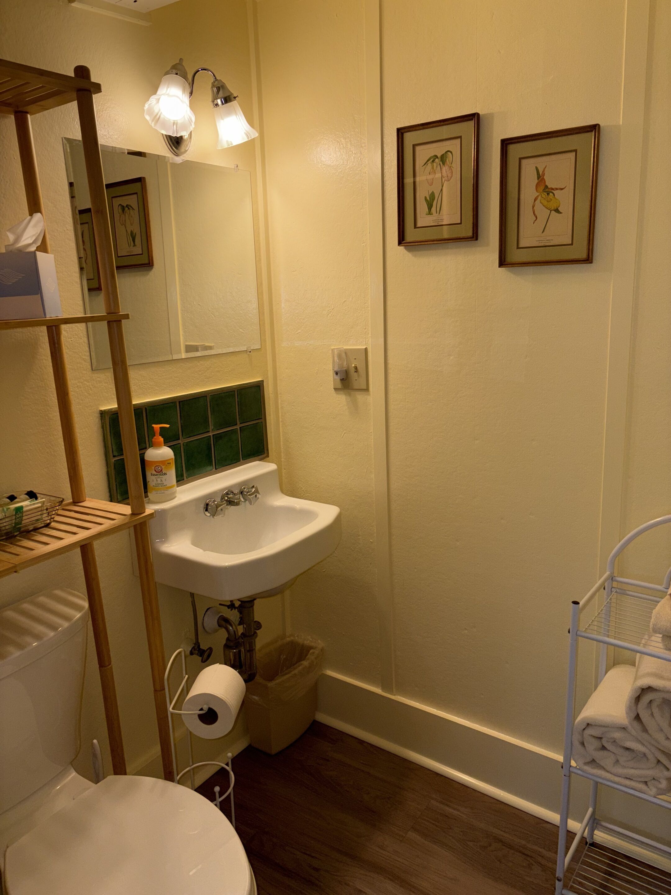 A bathroom with a sink, toilet, towel rack, and framed botanical prints on the wall.