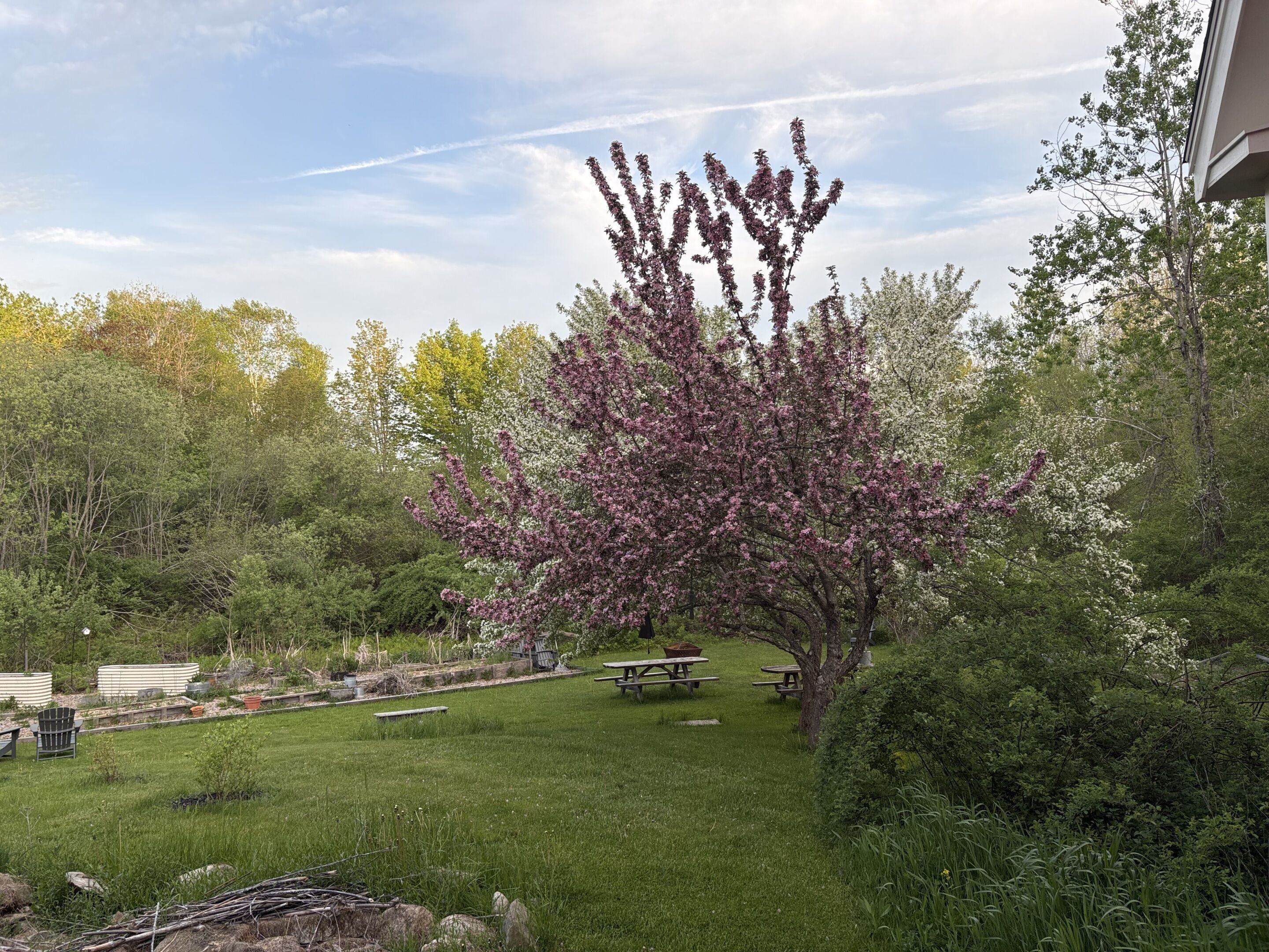 Jardin