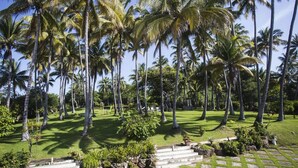 A tropical garden with palm trees, a stone pathway, and a grassy lawn. - Quinta MonteCarlo (La Libertad)