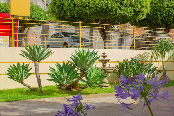 Jardín