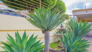 Un jardín con plantas de agave y una fuente.
