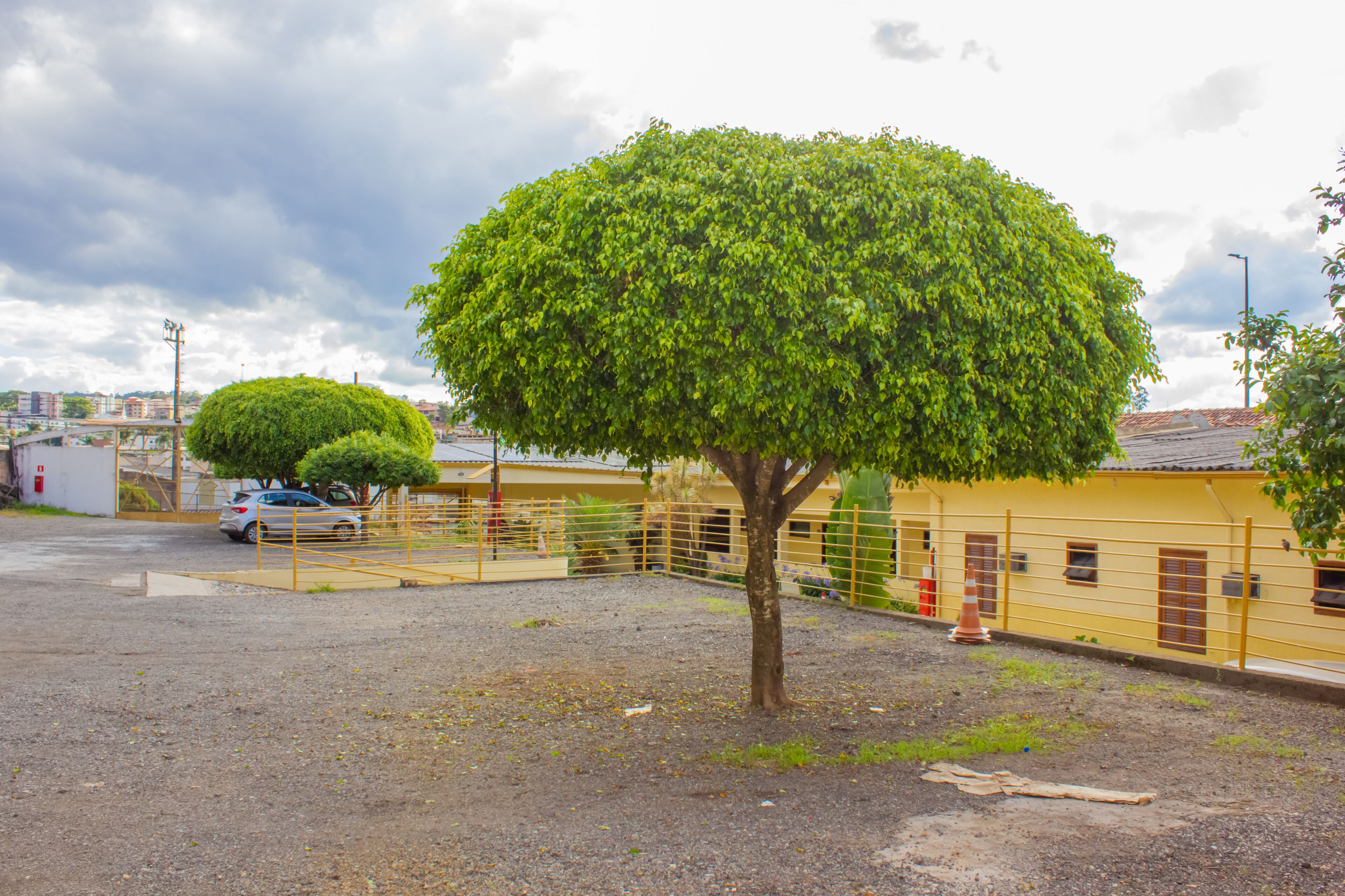 A parking lot with a tree in the foreground, a yellow building in the background, and a car parked near the building.