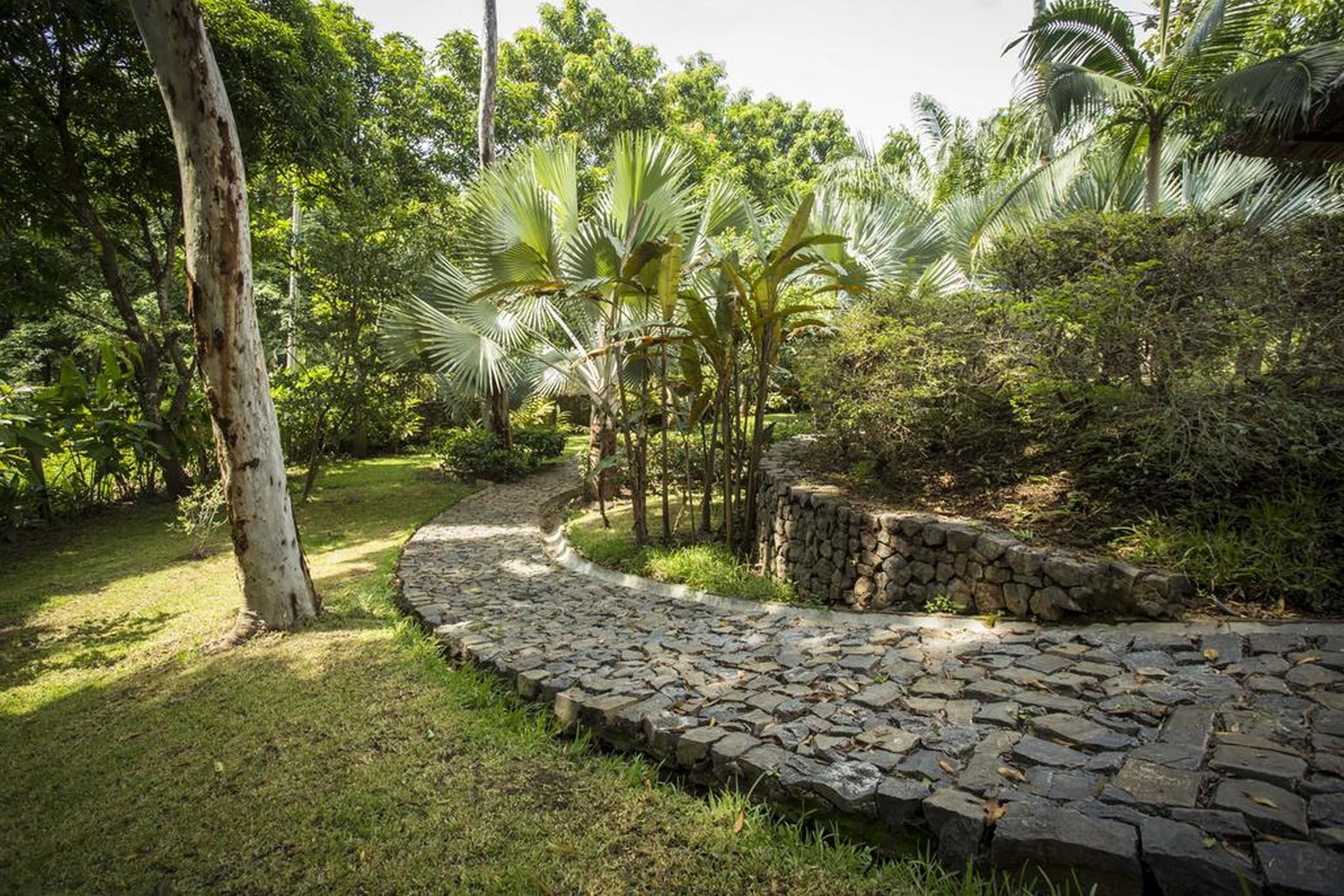 A stone pathway winding through a lush garden with palm trees and dense foliage.