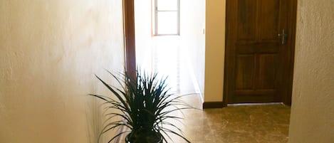 Un pasillo con una planta en maceta, una puerta de madera y un cuadro en la pared.