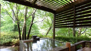Un área de aguas termales con una terraza de madera y un baño de piedra, rodeada de abundante vegetación.