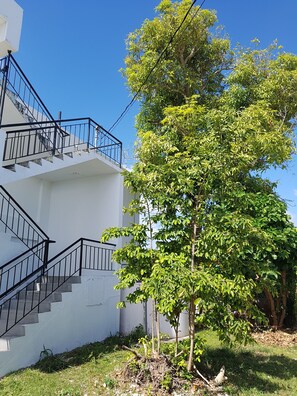 Garden - Saipan Family Residence (Saipan)