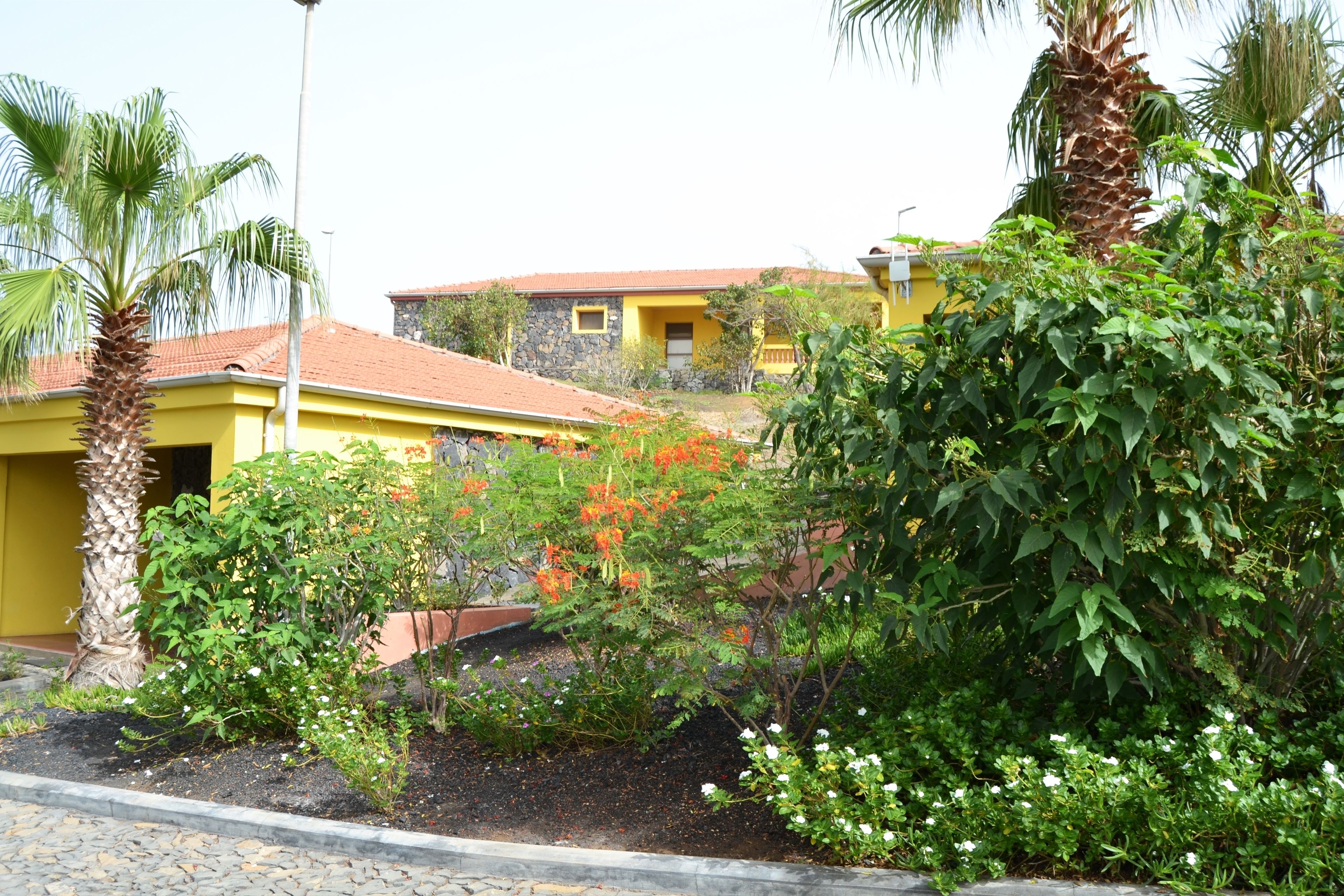 A yellow building with a red-tiled roof, surrounded by lush greenery and flowering plants.