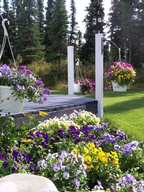 Property grounds - Denali Primrose B&B (Healy)