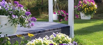 Denali Primrose B&B