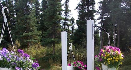 Denali Primrose B&B