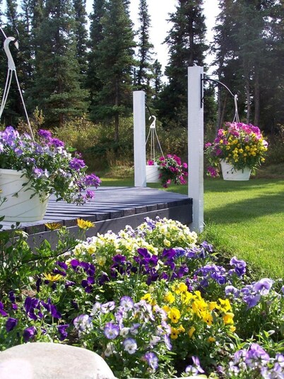 Denali Primrose B&B