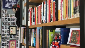 Una estantería llena de libros y un cuadro con un personaje de caricatura.