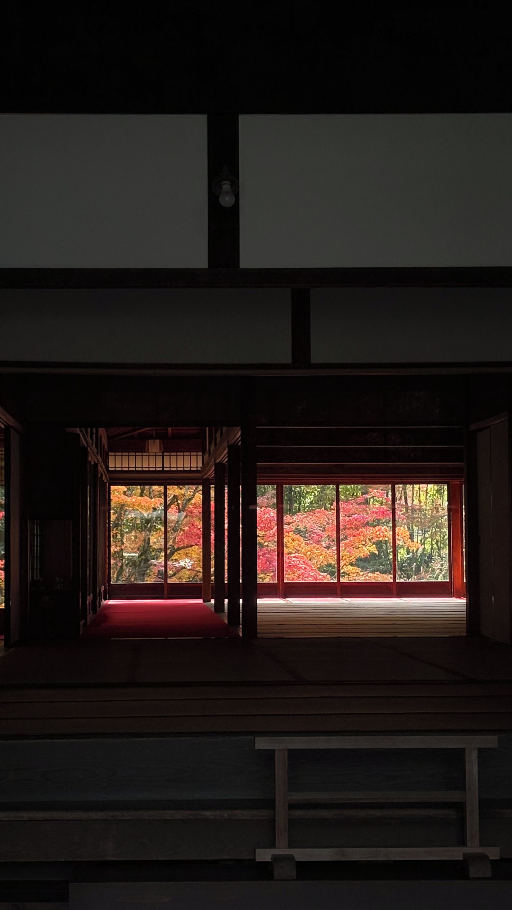A traditional Japanese room with tatami flooring, a low wooden bench, and a view of autumn foliage through a large window.