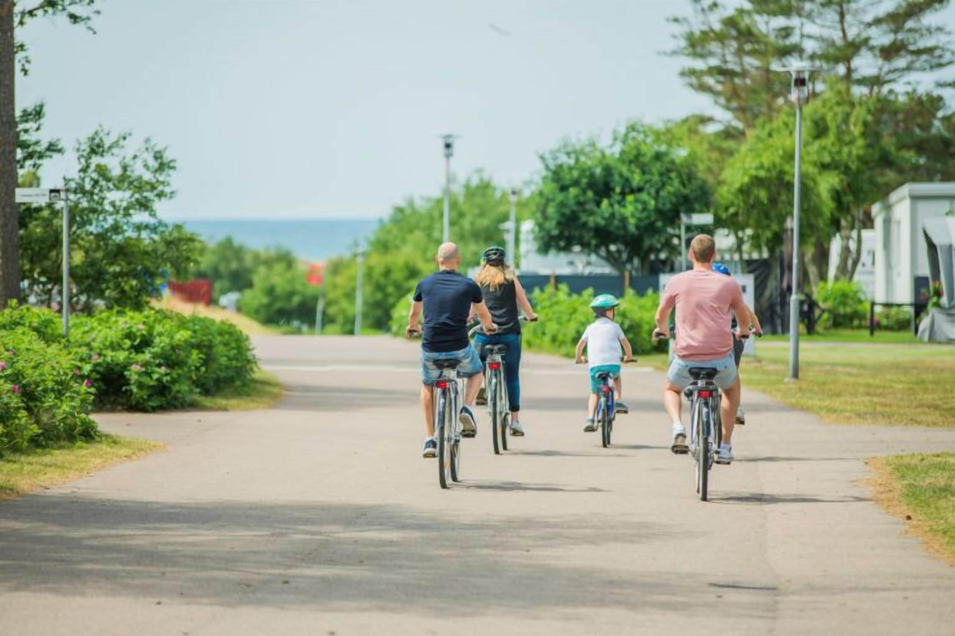 En asfalterad stig med cyklister, omgiven av grönska och en klar himmel.