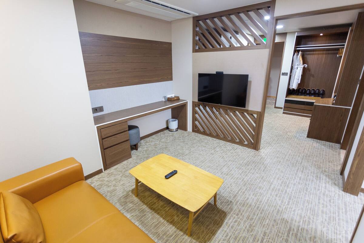 Une chambre d’hôtel moderne avec un plancher en bois, un canapé, une télévision, une petite table et une armoire.