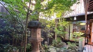 A traditional Japanese garden with a stone lantern, rocks, and mossy ground. - Miyaki-tei (Kyoto)