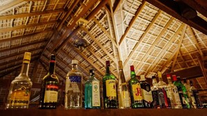 A variety of liquor bottles on a shelf under a wooden ceiling with a crisscross pattern. - Mangroves & More (Sihanoukville)