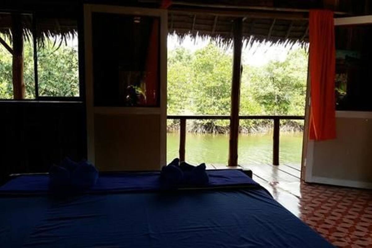 A room with a bed, large windows, and a view of greenery.