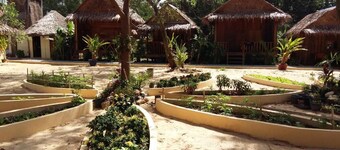 Mangroves & More