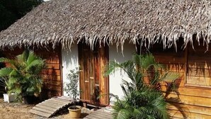 A thatched-roof house with a wooden door and windows, surrounded by gravel and potted plants. - Mangroves & More (Sihanoukville)