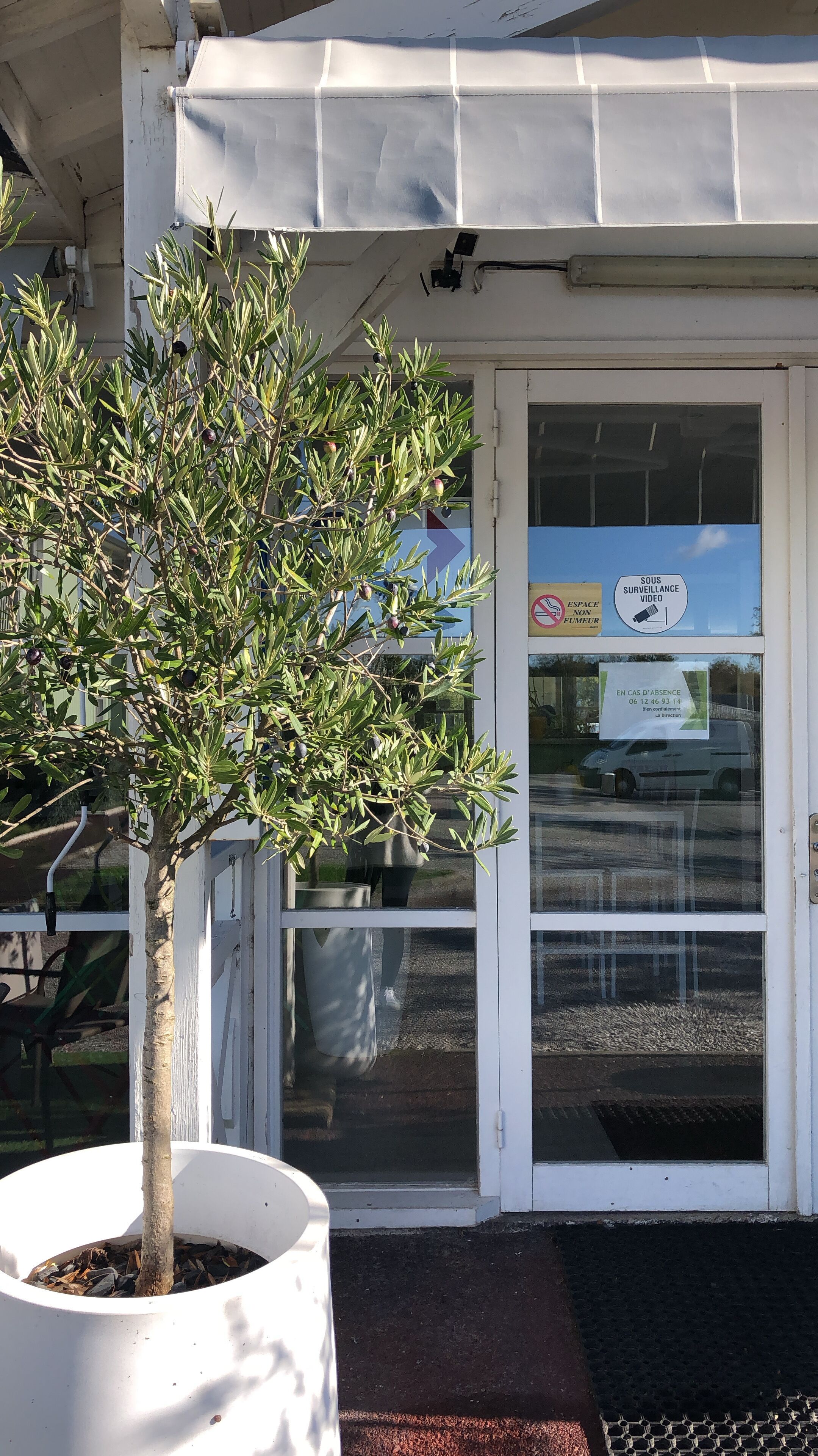 Entrada de un edificio con un árbol en maceta, una cámara de seguridad y una puerta con un cartel que indica vigilancia y un letrero de estacionamiento.