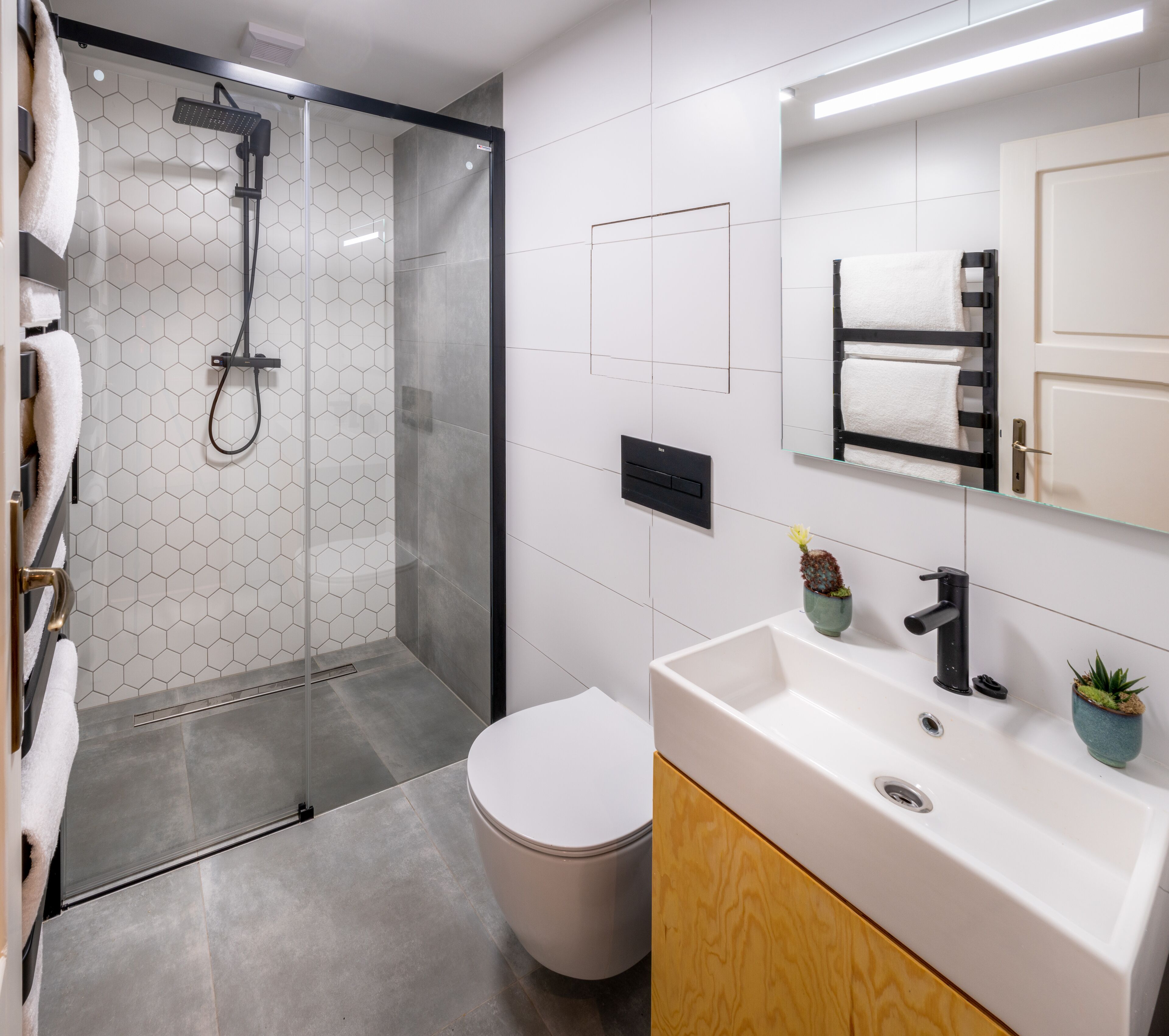 A modern bathroom with a glass-enclosed shower, a white toilet, a sink with a mirror, and a small potted plant.